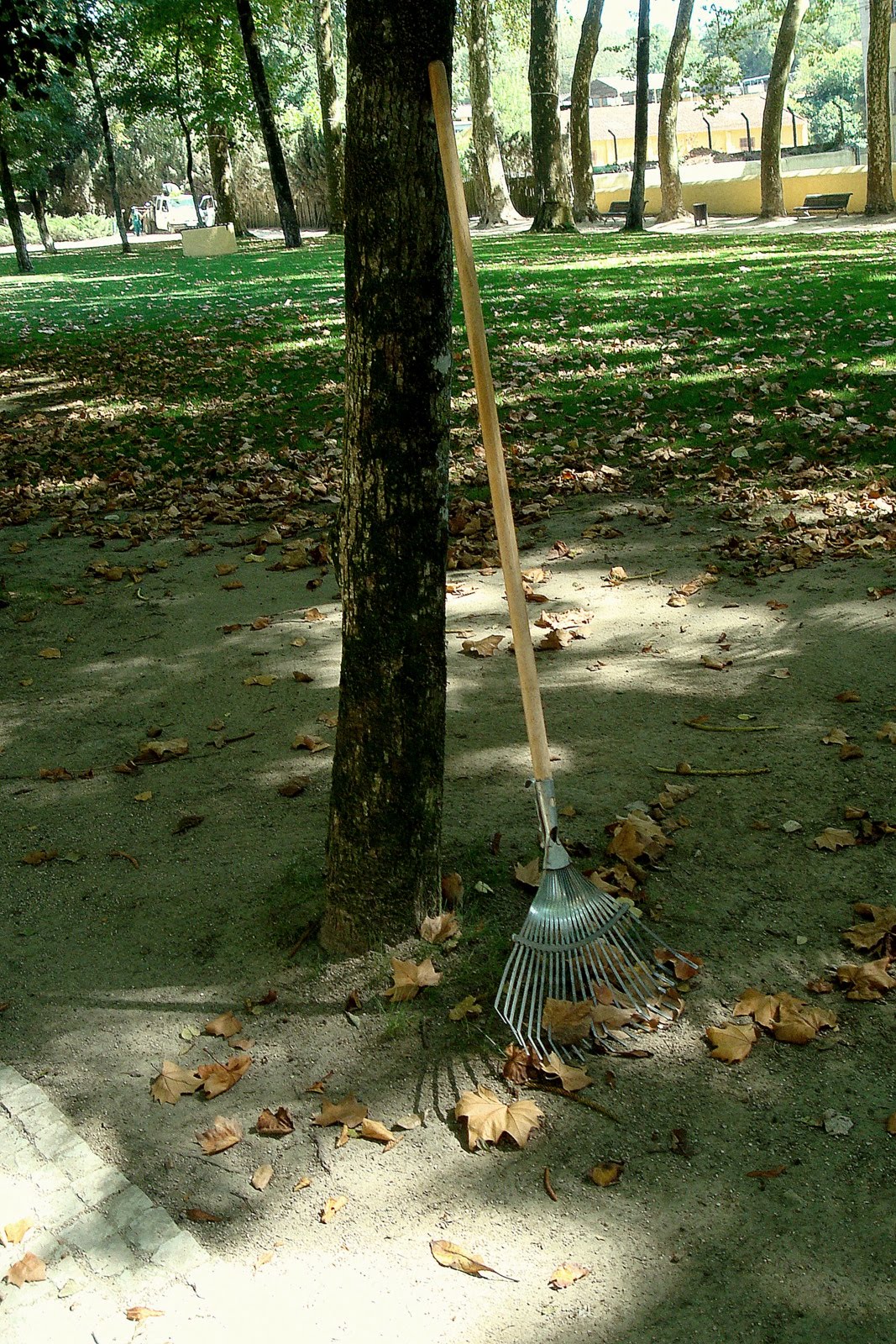 [DSC03510-1.JPG]