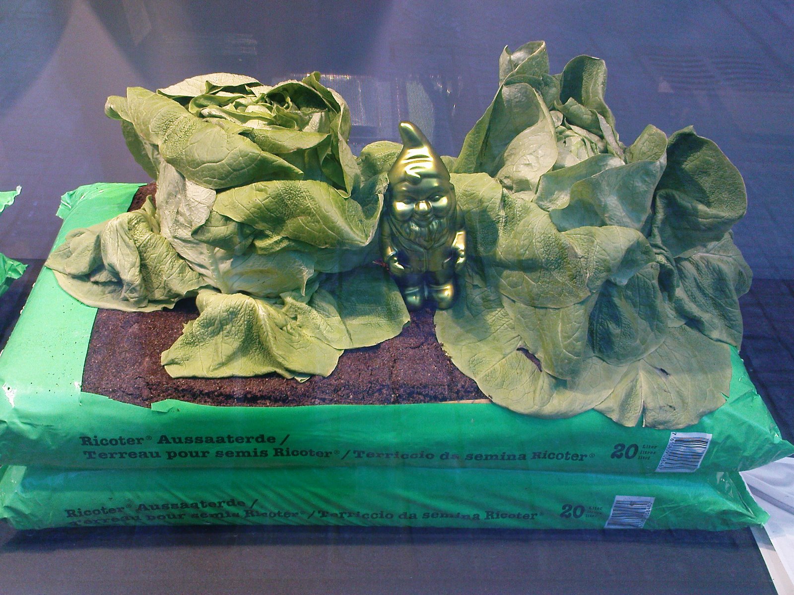 [DSC00455.JPG]
