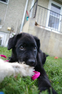 >Everybody Loves Friday! ADOPTED friday3 >Everybody Loves Friday! ADOPTED