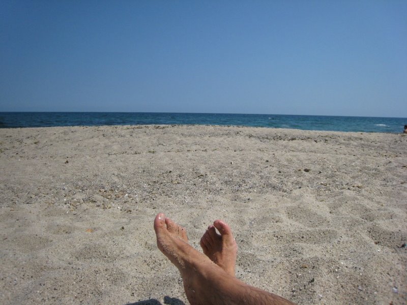 [IMG_3470.JPG]