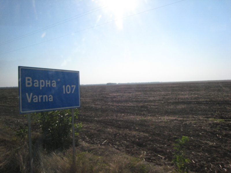 [IMG_3419.JPG]
