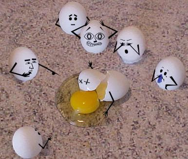 funny cracked eggs