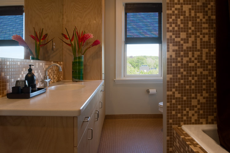 Small Condo Bathroom Design Ideas