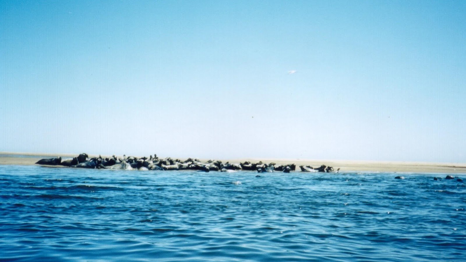 Tehachapi Pete Kouchibouguac National Park