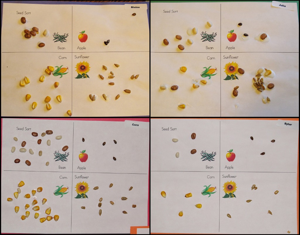 Seed Sorting » Share & Remember Celebrating Child & Home