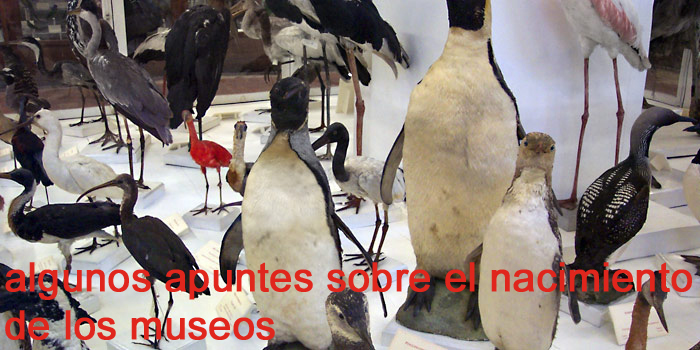 Apuntes sobre el nacimiento de los Museos