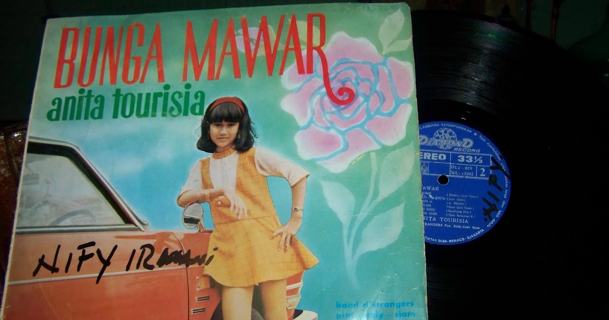 Musi Antik: anita tourisia, bunga mawar