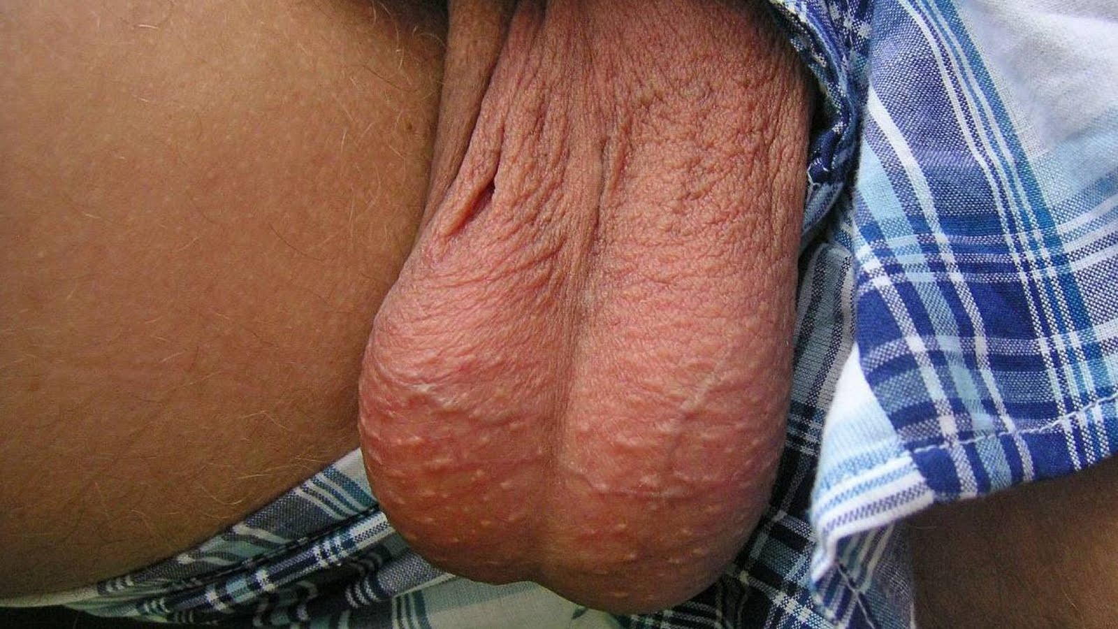 Older shemale porn Great global gay magazine