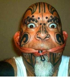 [New+Picture+(4).png]