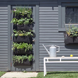 Huerto Urbano: Rincones