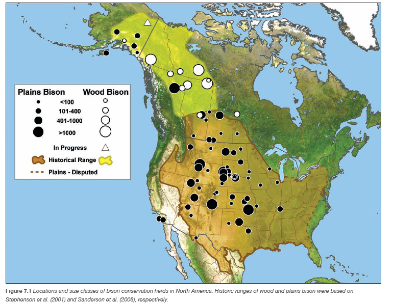 Wild Plants Post Comparing bison weight gain