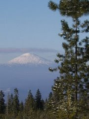 Link to Kathy's Central Oregon Website: