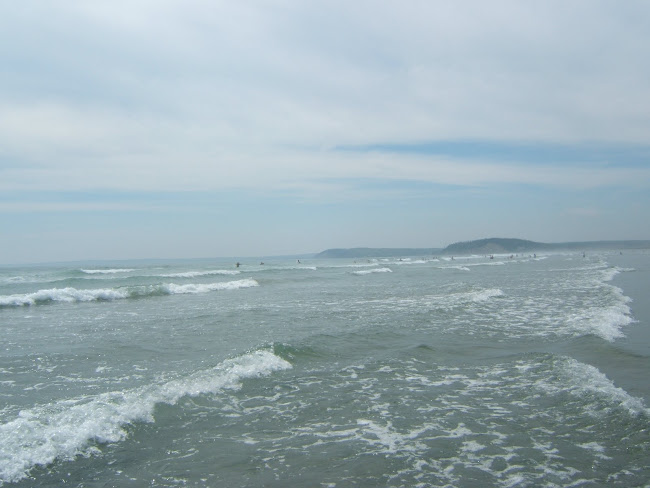 clam harbour beach