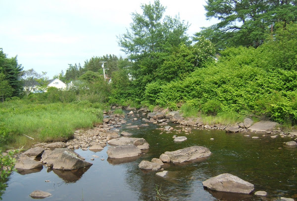 sherbrooke, eastern shore