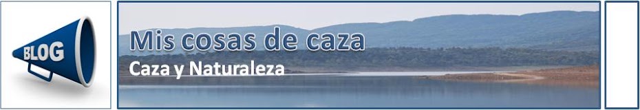 Relatos cortos de caza