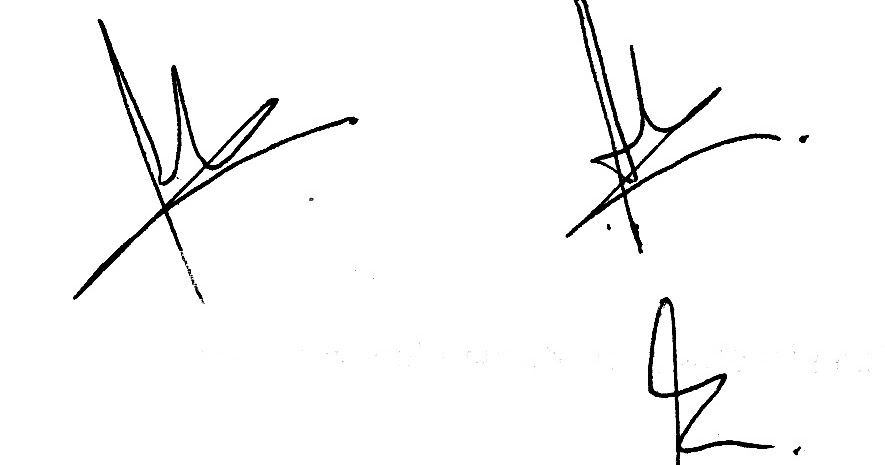 Ester Agustina Signature Phobia