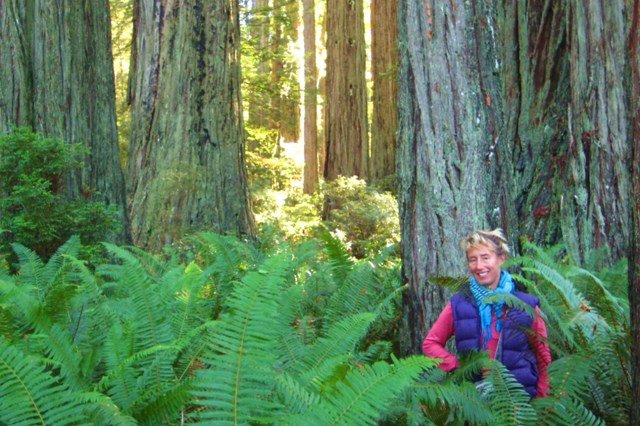[Lori+in+the+Redwoods,+Redwood+National+Park.JPG]