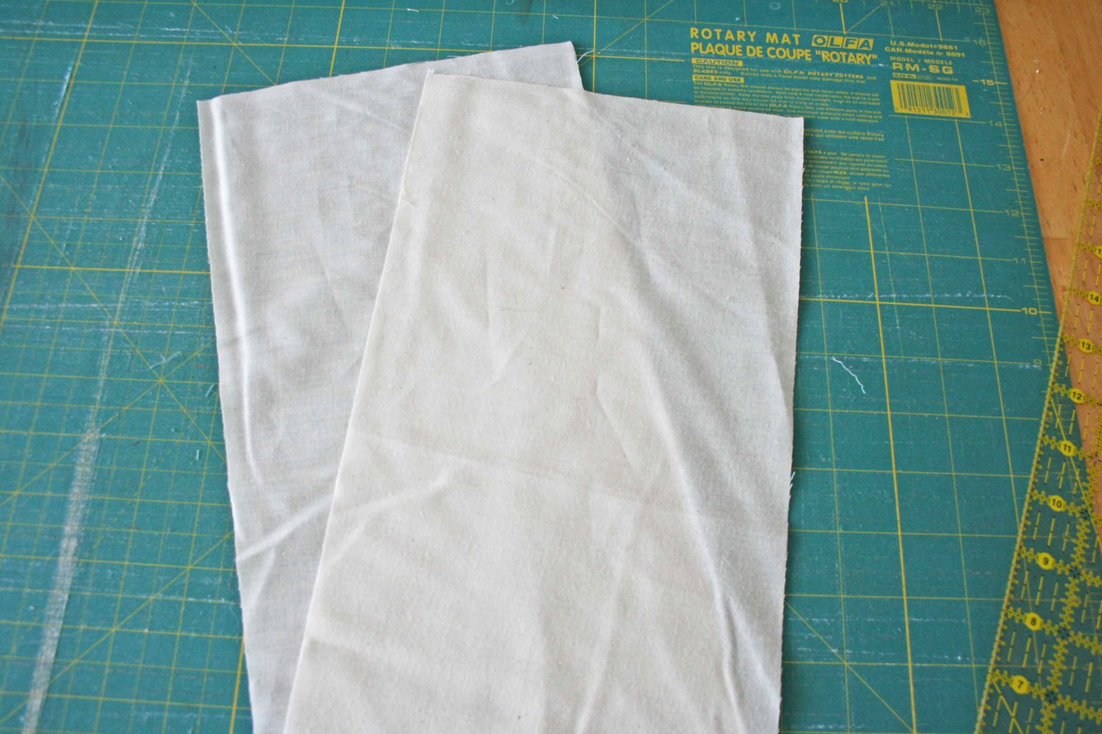 [2009+02+12_5001_edited-1.jpg]