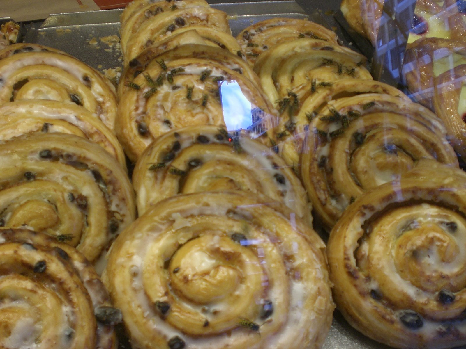 [Berlin2008+003.jpg]