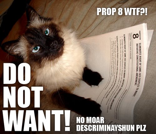 [donotwantprop8.jpg]
