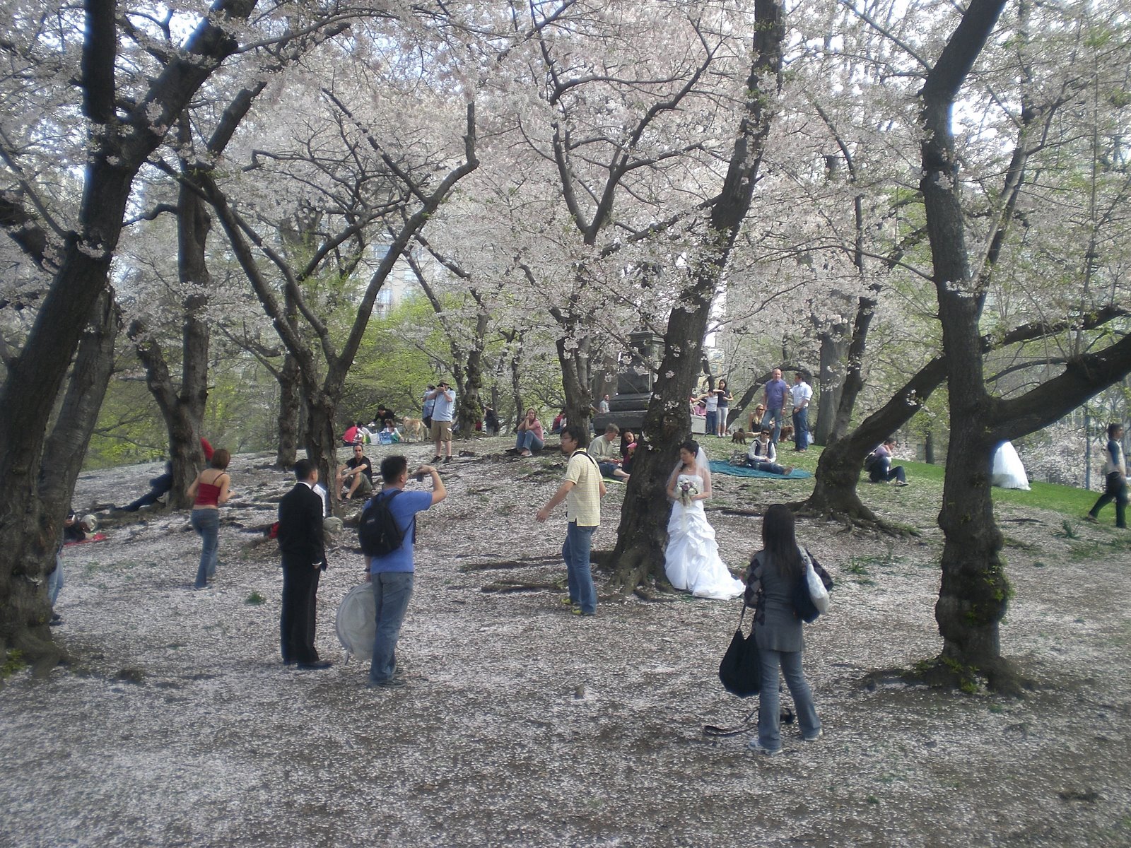 [CentralParkApril2009a.jpg]