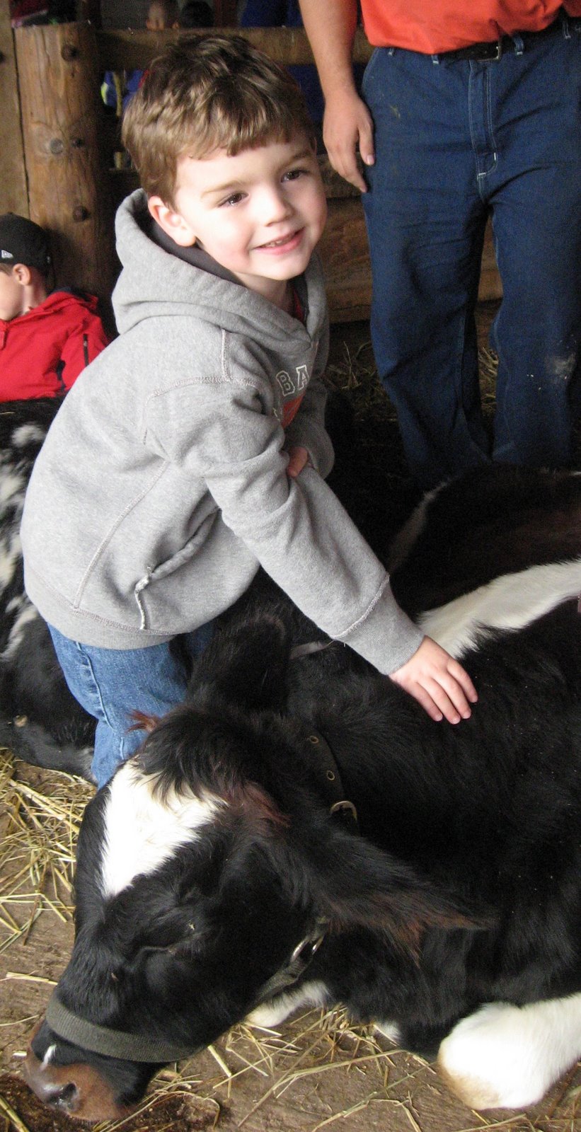 [Sean+petting+a+cow+cropped.jpg]