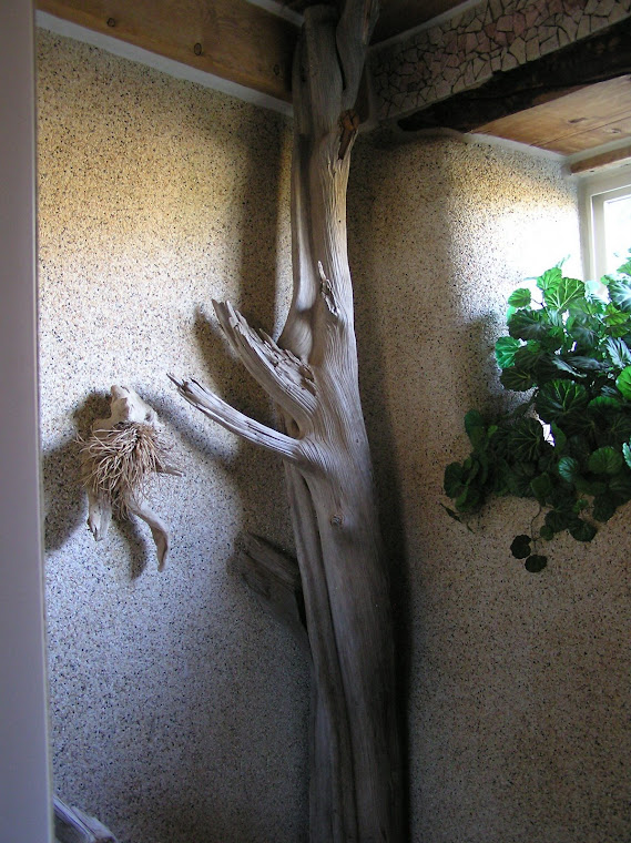 Driftwood in the shower