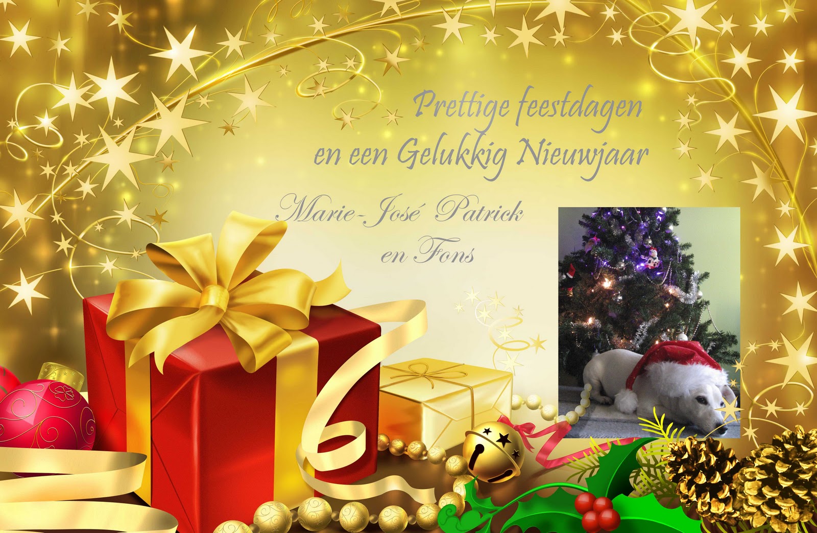 http://4.bp.blogspot.com/_t7jt3ETEetc/TRSlMUduayI/AAAAAAAAHiU/_1CySs6dy24/s1600/Kerstkaart%202010%20%20email.jpg