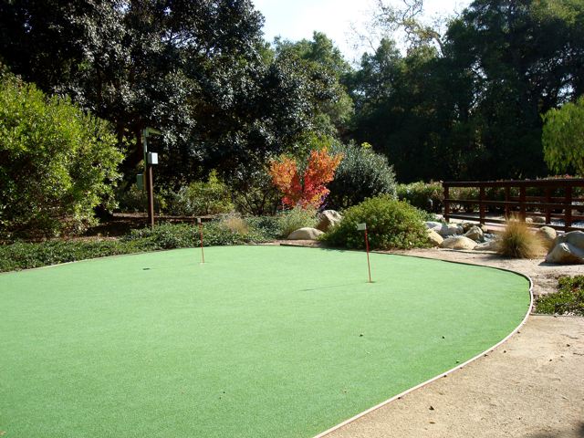 [DSC03859.jpg]