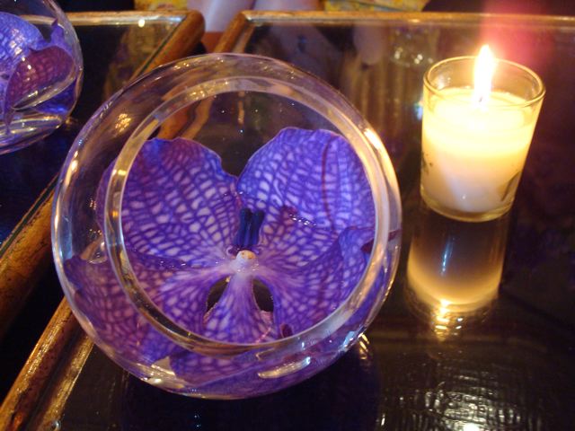 [DSC09288.jpg]