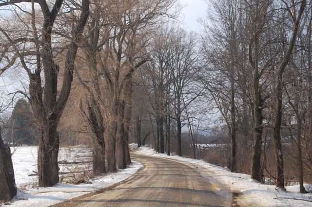 [DSC_0037_2.jpg]