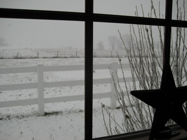[studio+view_001.JPG]