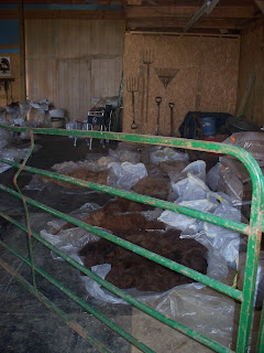 Shearing Day Fiber Crop