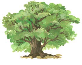 Сочинение путешествие осеннего листа 3 класс литературное чтение