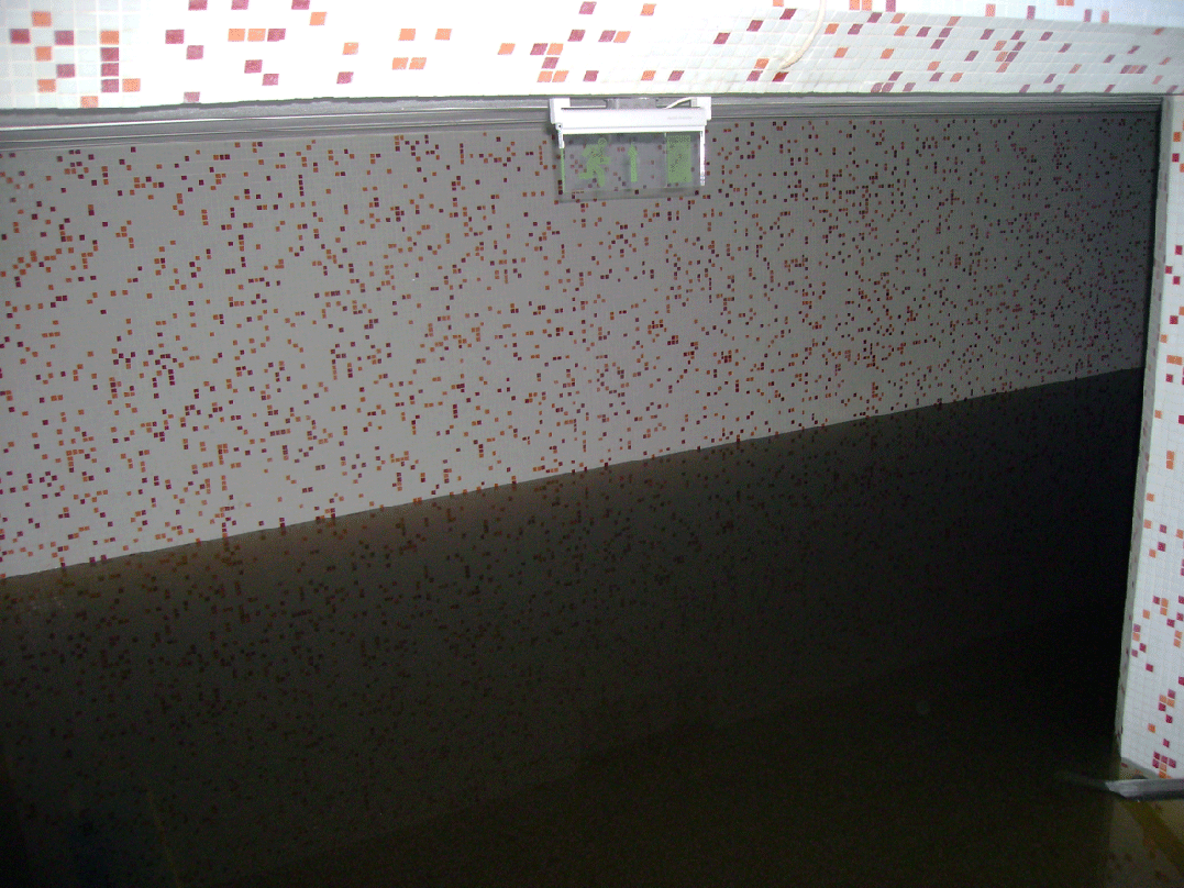 [DSC03786-copy.gif]