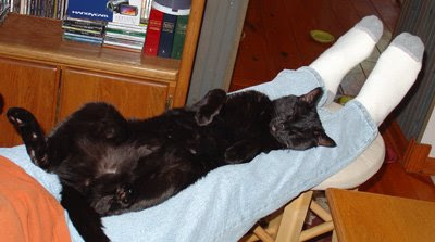 Simon lounging