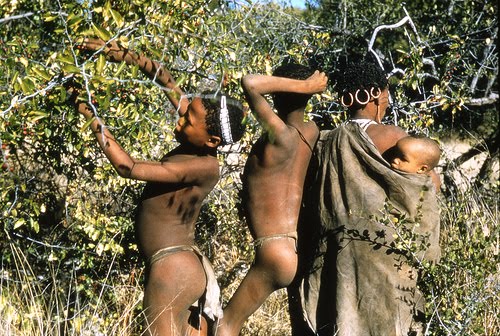 foraging societies Which of the following is typically not a characteristic of a foraging society a foraging societies are nomadic groups b foraging societies consist of small groups with ties based on kinship. foraging societies Which of the following is typically not a characteristic of a foraging society a foraging societies are nomadic groups b foraging societies consist of small groups with ties based on kinship.