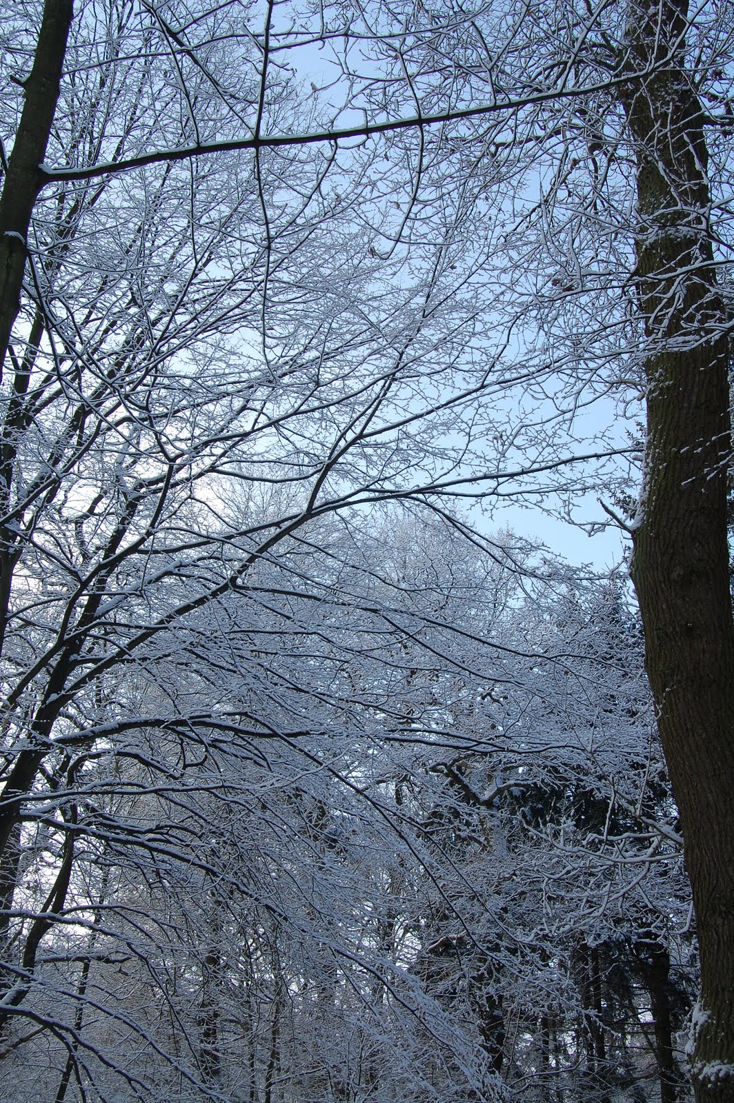 [south-of-france.JPG]