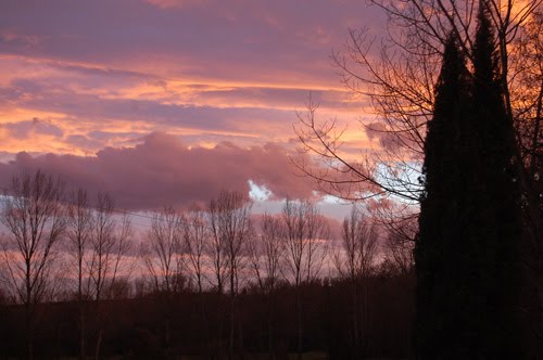 [rambling-in-france-2.jpg]