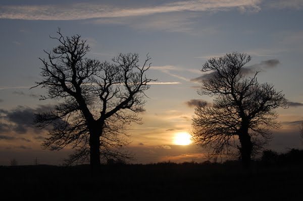 [lincolnshire_uk.jpg]