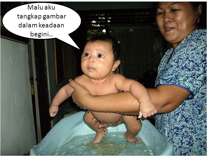 [mandi+2.bmp]