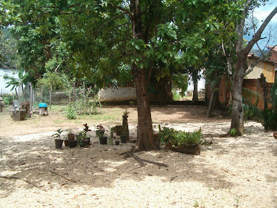 Gamboa Café Taquaruçu 8