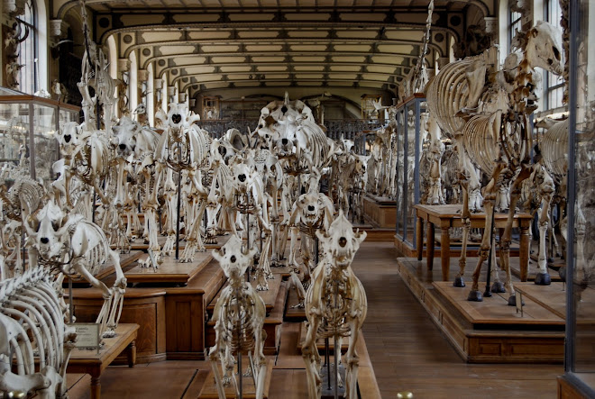 Et vous mes mains, restez tranquilles, c'est un chien qui nous revient de la ville