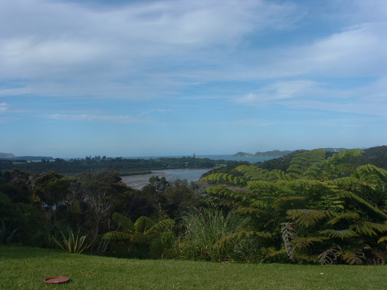 [DSCF0141.JPG]