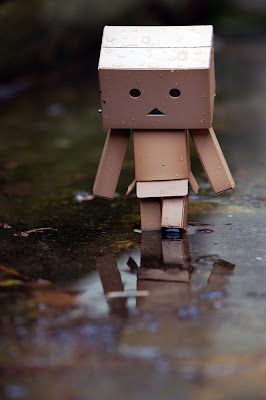  Danbo on Danbo   In The Rain