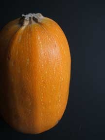 [spaghettisquash.jpg]