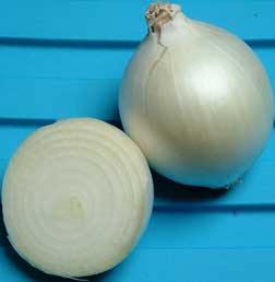 [whiteonion.jpg]