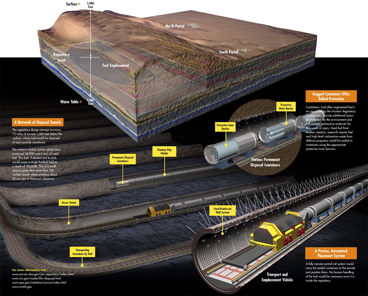 [Yucca+poster_back+art_loresjpg.jpg]