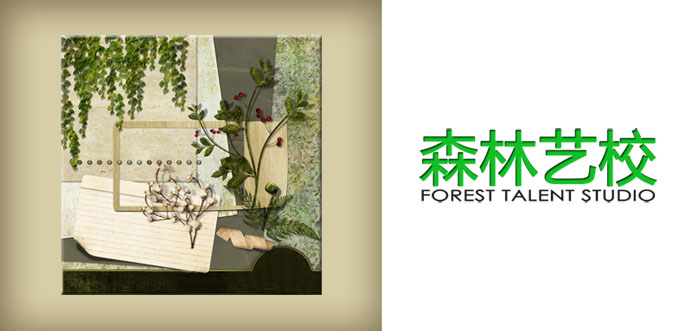 森林艺校 FOREST TALENT STUDIO