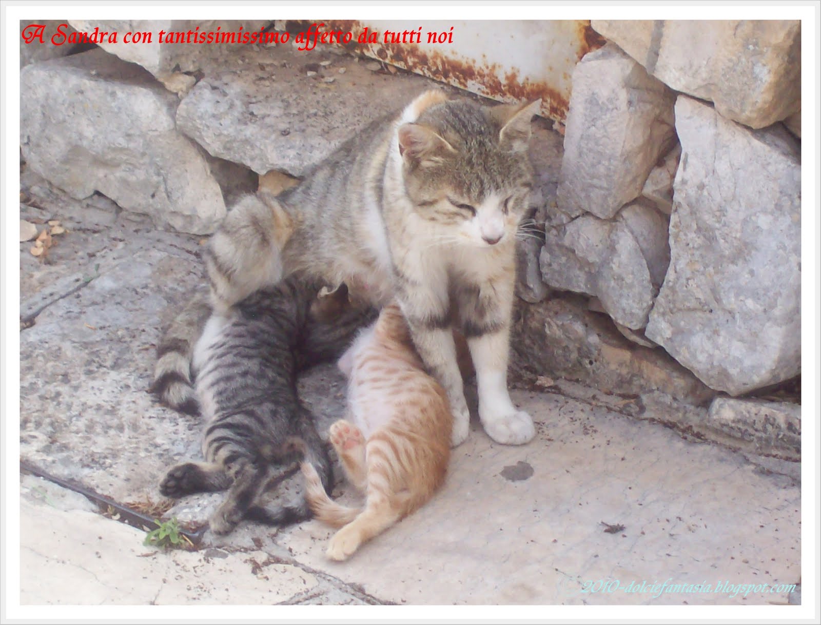 http://4.bp.blogspot.com/_tG9DebprzXw/TF0tCijO_9I/AAAAAAAAA7o/IzlhnjW6KNE/s1600/Sandra.jpg